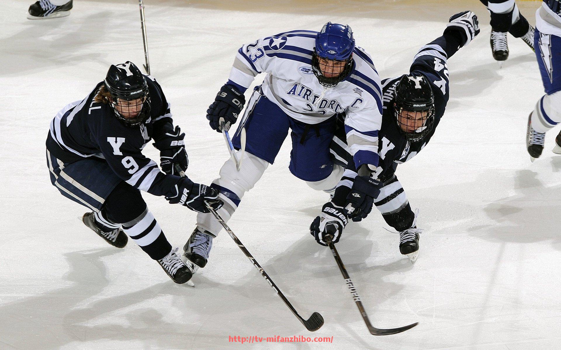 秘饭直播-健之王健身器材图片的详细介绍与使用建议