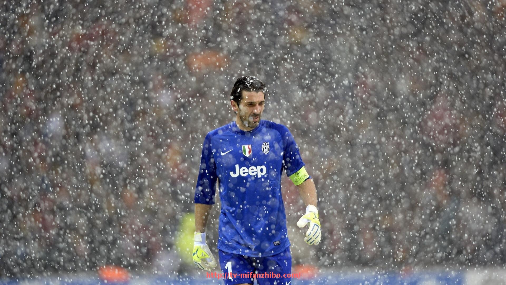 秘饭直播-瘦手臂的健身器材有哪些？有效动作推荐