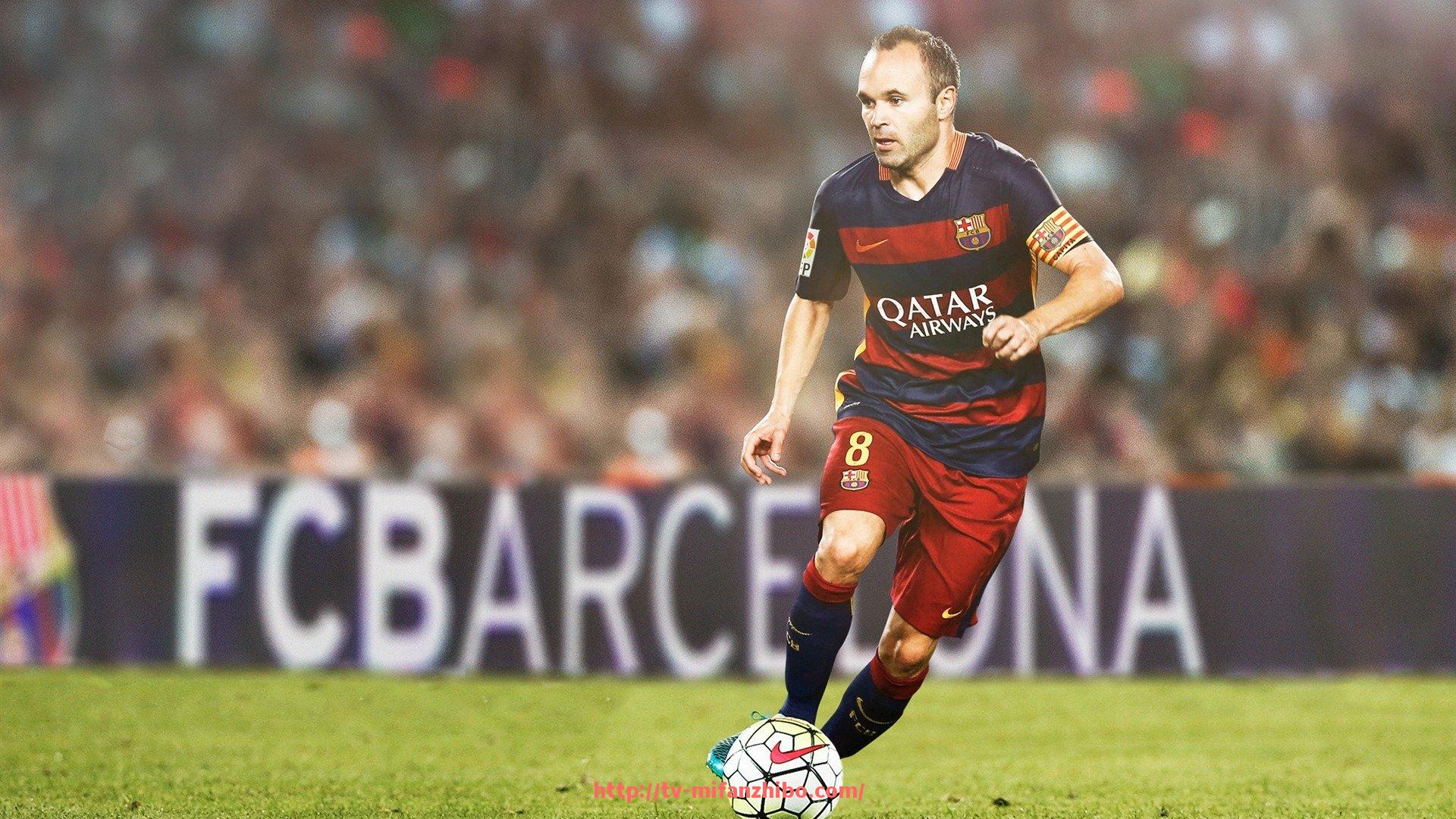 秘饭直播-瘦手臂的健身器材有哪些？有效动作推荐